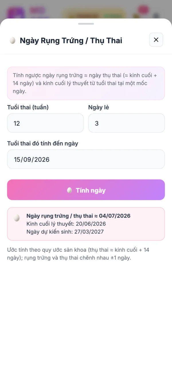 Ngày rụng trứng và thụ thai